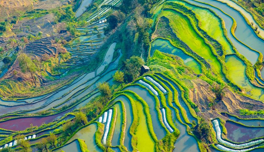 宝妈必备神器：临川区产品视频拍摄轻松育儿好帮手