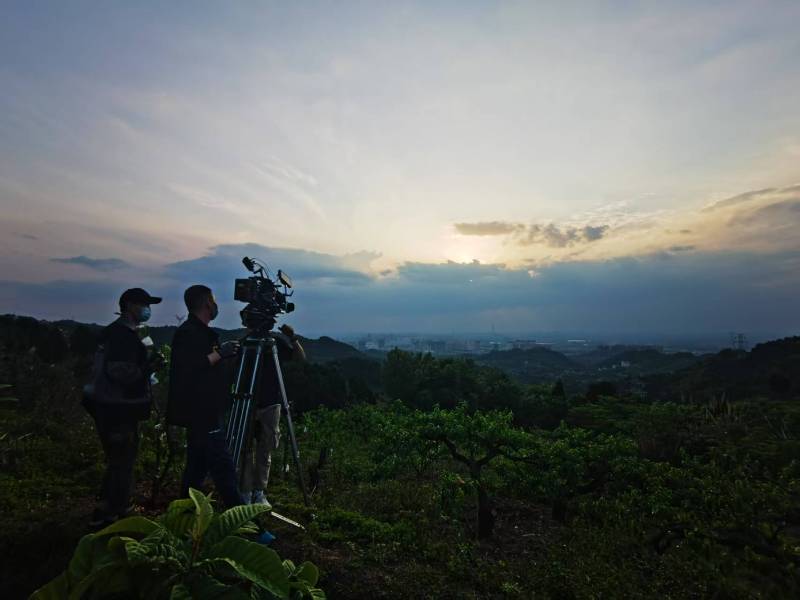 聚焦临川区产品宣传视频拍摄公司，用专业实力铸就品牌传播传奇