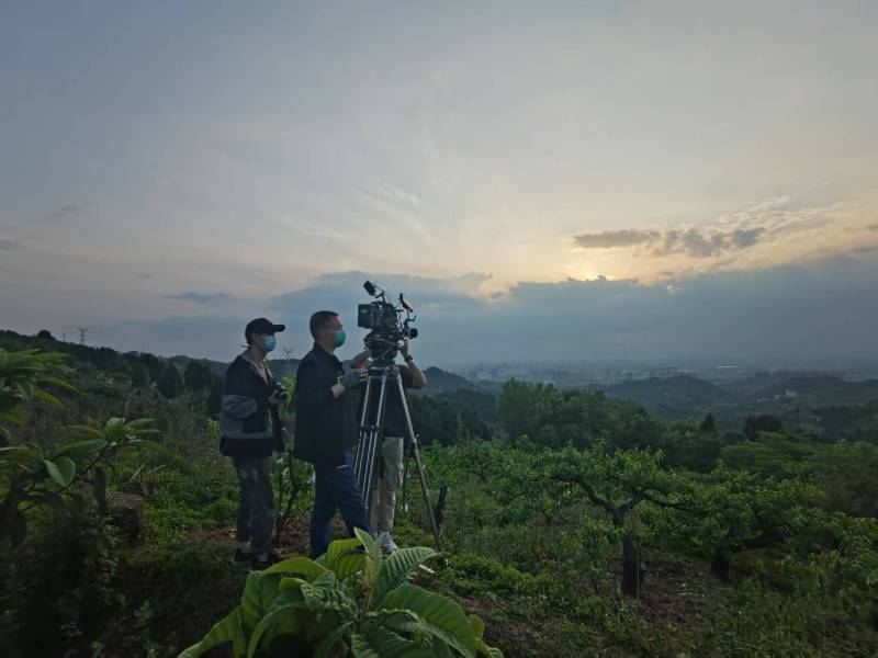 创意破圈！临川区电商产品宣传视频用故事化叙事引爆流量