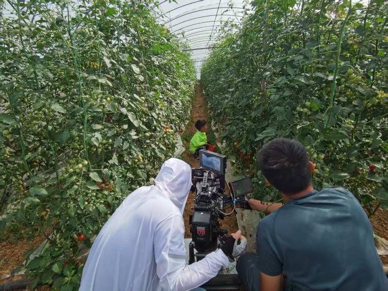 临川区产品宣传视频拍摄公司进阶指南，助力品牌抢占传播高地